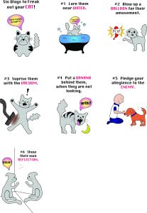 how-to_cat-1